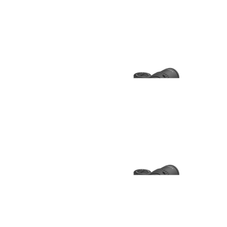 Vector Optics Veyron 6-24x44IR SFP kompakt riffelkikkert